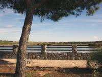 La Laguna