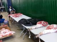 Matanza Didáctica 2018