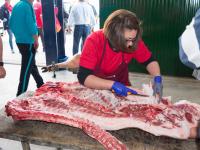Matanza Didáctica 2019