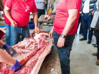 Matanza Didáctica 2019